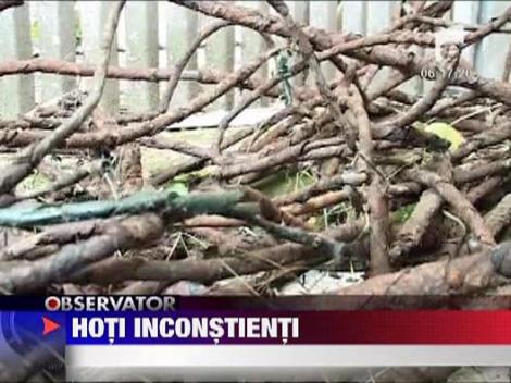 Hoti de pe calea ferata