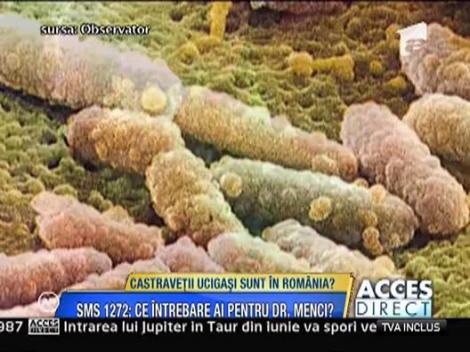 Romania a importat castraveti din Spania si din Germania!