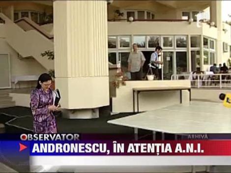 Ecaterina Andronescu, in atentia A.N.I.