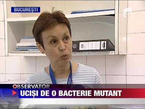 Bacteria E.coli provoaca pagube in Romania