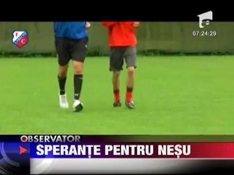 Mihai Nesu si-a miscat mana dreapta