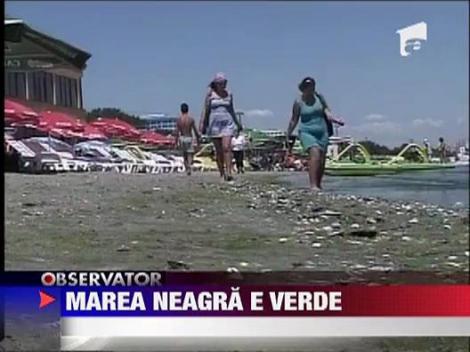 Marea Neagra e verde