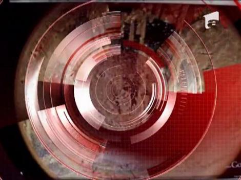 Formele Pippei uimesc  in continuare