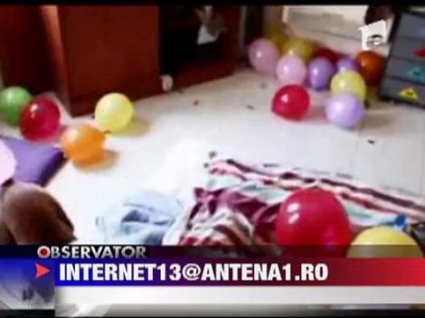 Caine suparat pe  baloanele colorate