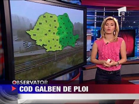 Cod galben de ploi