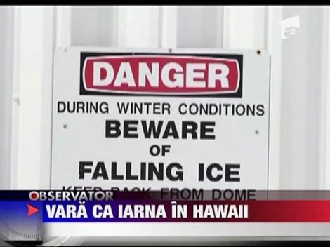 Vara printre nameti in Hawaii