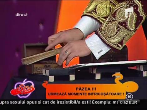 Scorpion Imperial, pe mana Danielei Crudu