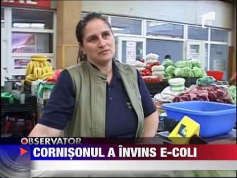 Agricultorii romani si-au gasit salvarea in cornisoni