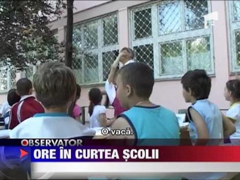 Ore facute in curtea scolii