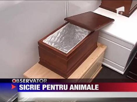 Sicrie pentru animalele de companie