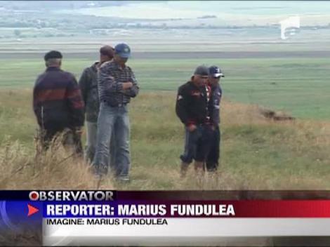 Sot si sotie, inghititi de ape