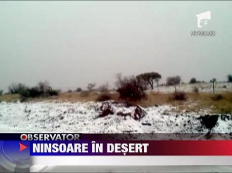 Clima a luat-o razna! A nins in mijlocul desertului!