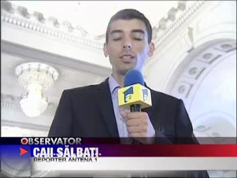 Soarta cailor salbatici din Delta ramane incerta