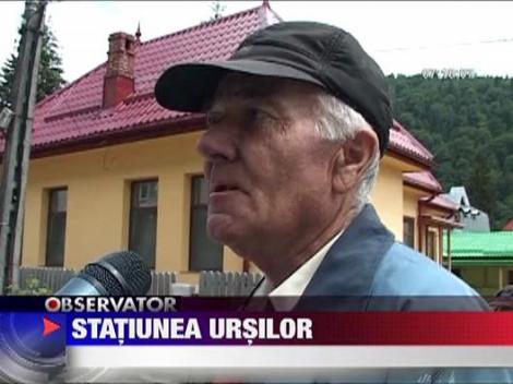 Ursii gunoieri au coborat din nou in Busteni