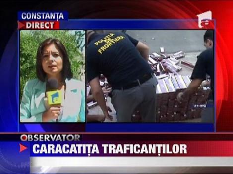 Razii ale mascatilor in 143 de locatii din judetul Suceava