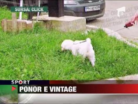 Catalina Ponor s-a facut hipiota!