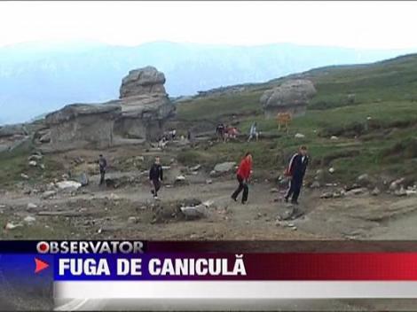 Muntele, refugiu in fata caniculei
