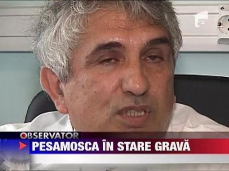 Chirurgul Alexandru Pesamosca in stare grava la spital