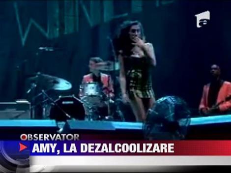 Amy Winehose, la dezalcoolizare