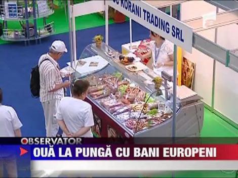 Producem oua la punga, pasteurizate, cu bani europeni