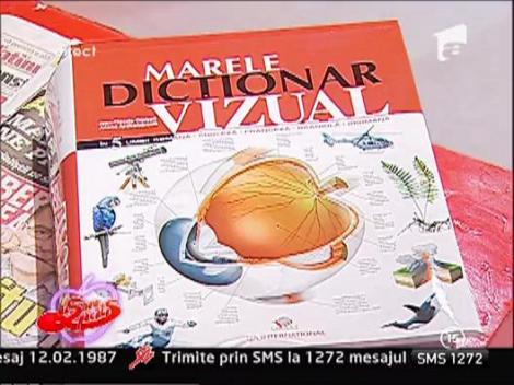 Marele dictionar vizual in 5 limbi
