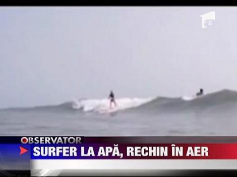 Surfer la apa, rechin in aer!