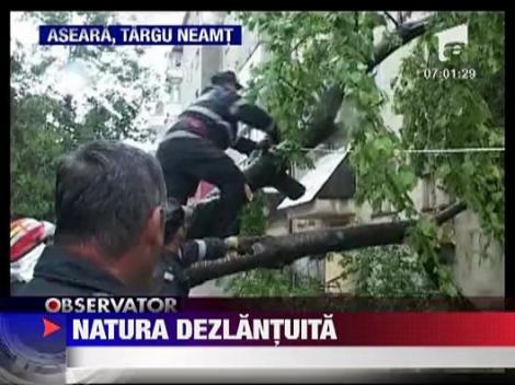 Strazi transformate in rauri