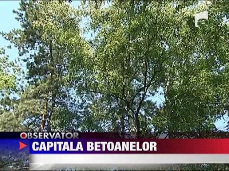 Bucurestiul este mult mai sarac in spatii verzi