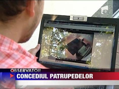 Hoteluri speciale pentru caini