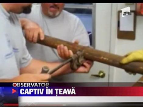 Operatiune de salvare inedita la California