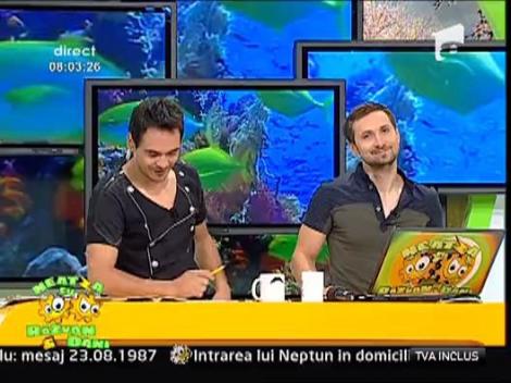 Cum se conserva fructele de sezon