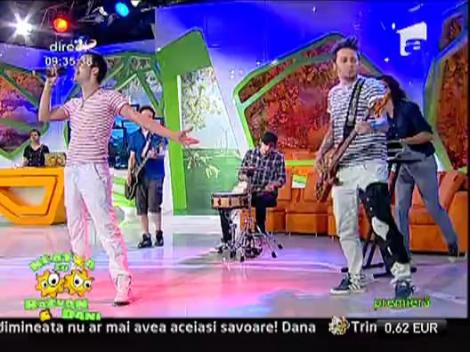 Animal X - Star collision