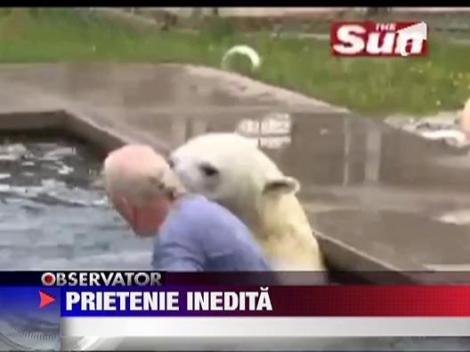 Isi pune capul in gura ursului!