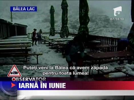 Trei anotimpuri intr-o zi: iarna, toamna si primavara