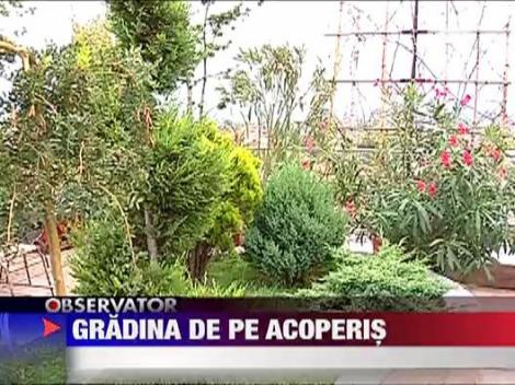 Bucurestiul va fi Capitala gradinilor suspendate