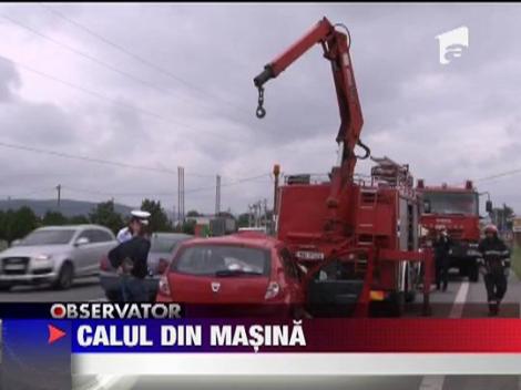 Accident terifiant pe DN1! Un cal a trecut printr-un parbriz