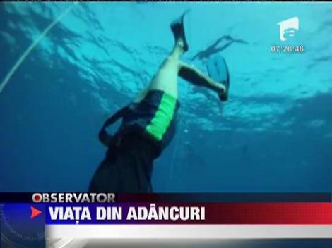 S-a lansat Freediving Romania