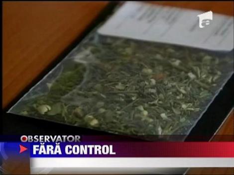 Dependent de etnobotanice violent