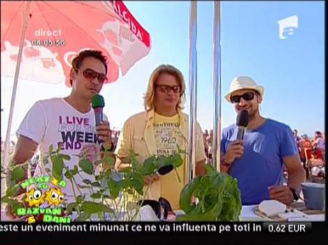 Drumul spre mare de la Resita