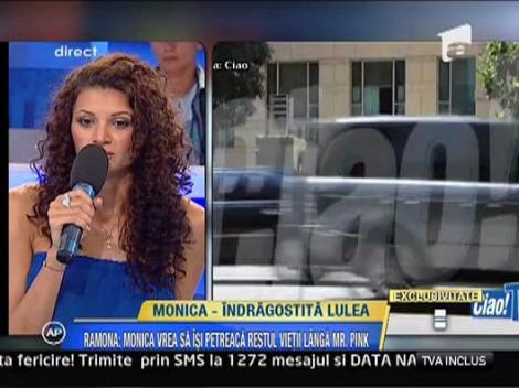 Monica -indragostita lulea