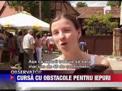 Cursa cu obstacole pentru iepuri