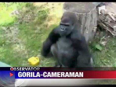 Gorila cameraman