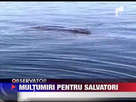 Multumiri pentru salvatori