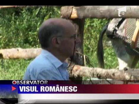 Numarul strainilor din Romania este in crestere