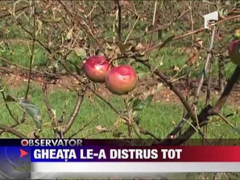 Se anunta o iarna grea pentru taranii din nordul tarii