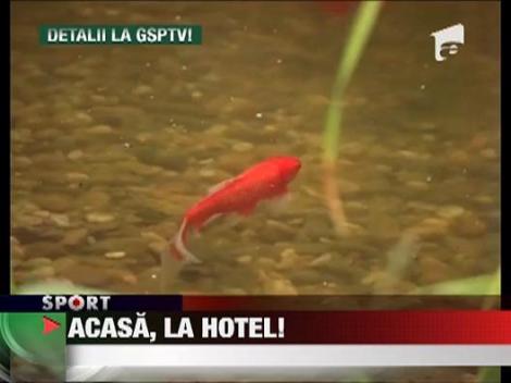 Fost fotbalist, acum om de afaceri!