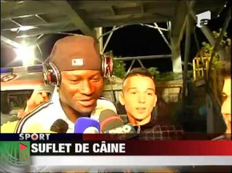 Suflet de caine