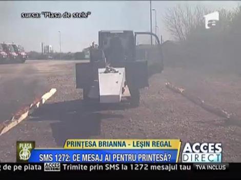 Printesa Briana si-a luat mare teapa