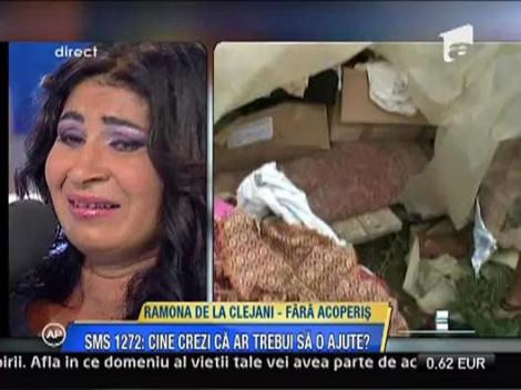 Casa Ramonei de la Clejani, distrusa de o furtuna puternica