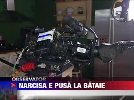 Narcisa Salbatica scoasa la concurs